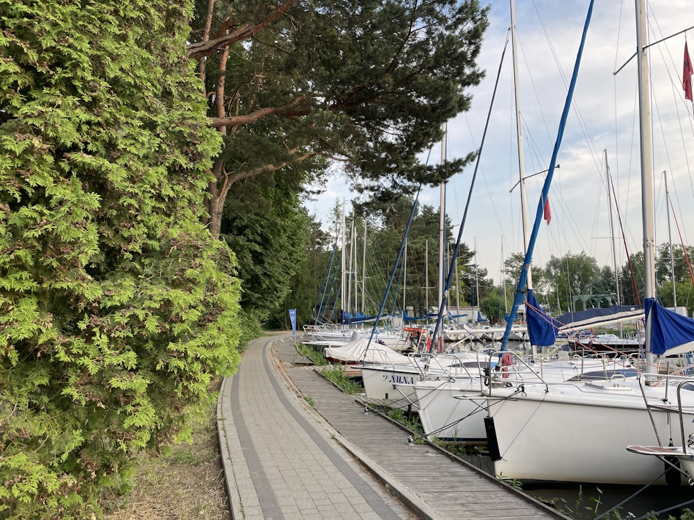 a row of sailboats sitting next to each other