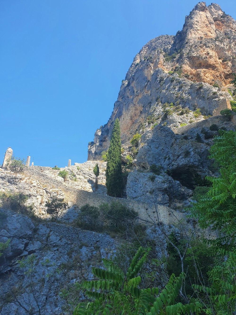 a rocky mountain with trees growing on the side of it