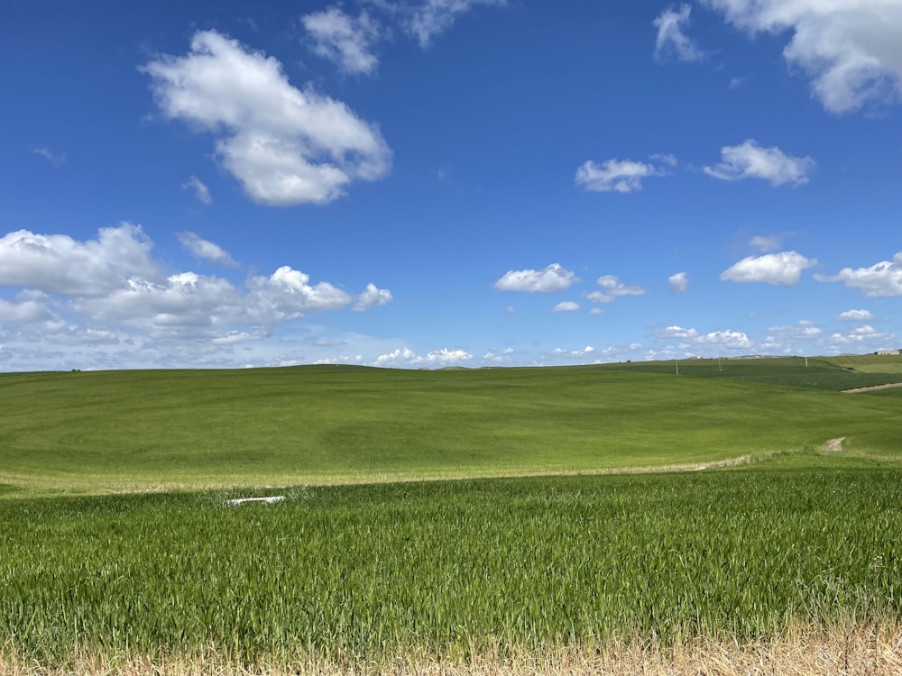 Un champ d’herbe verte sous un ciel bleu