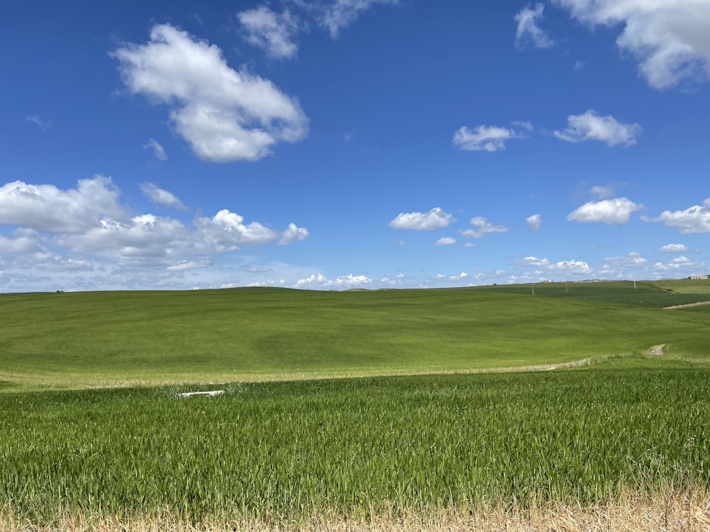 a field of green grass under a blue sky