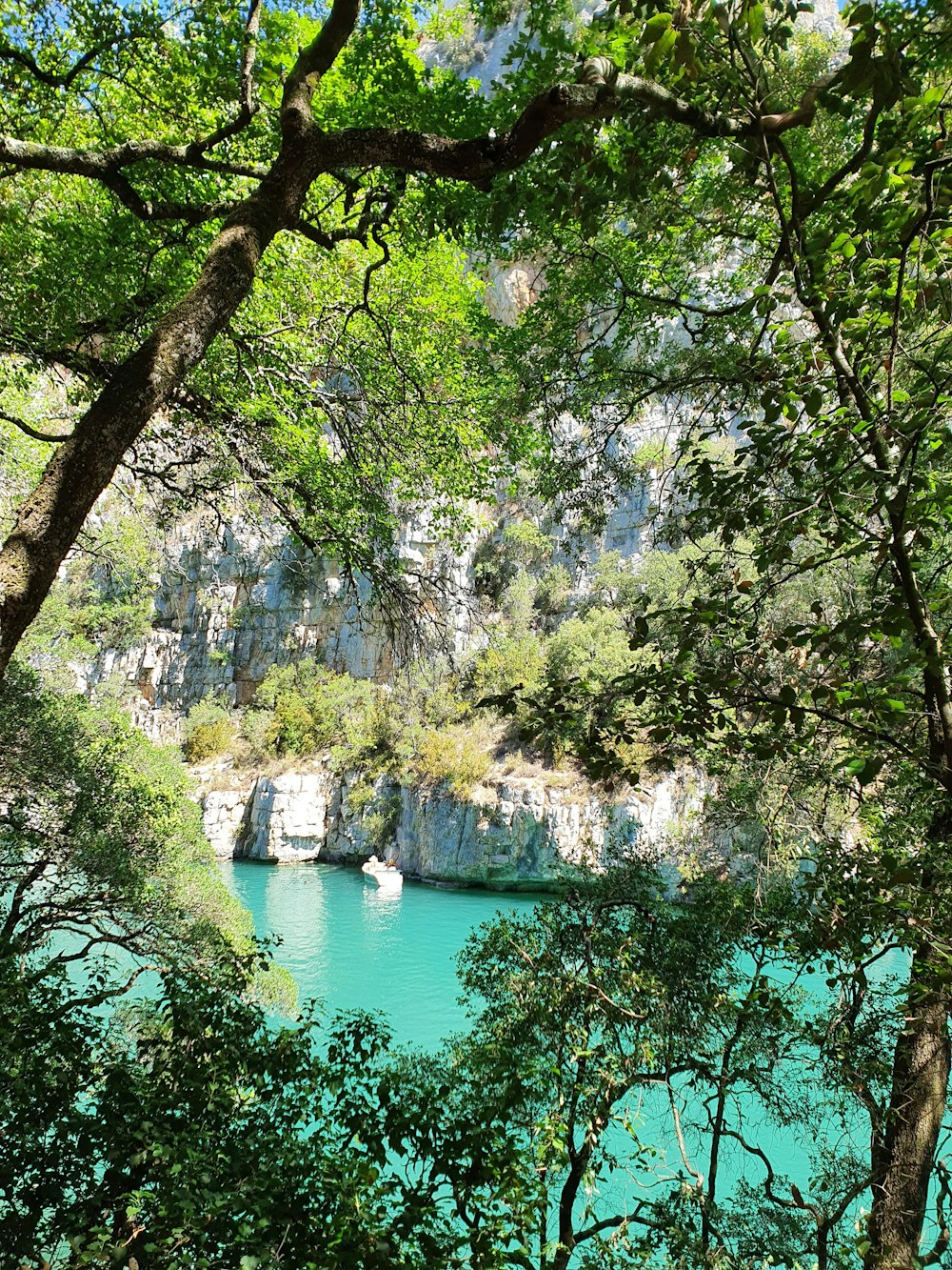 a body of water surrounded by trees and rocks