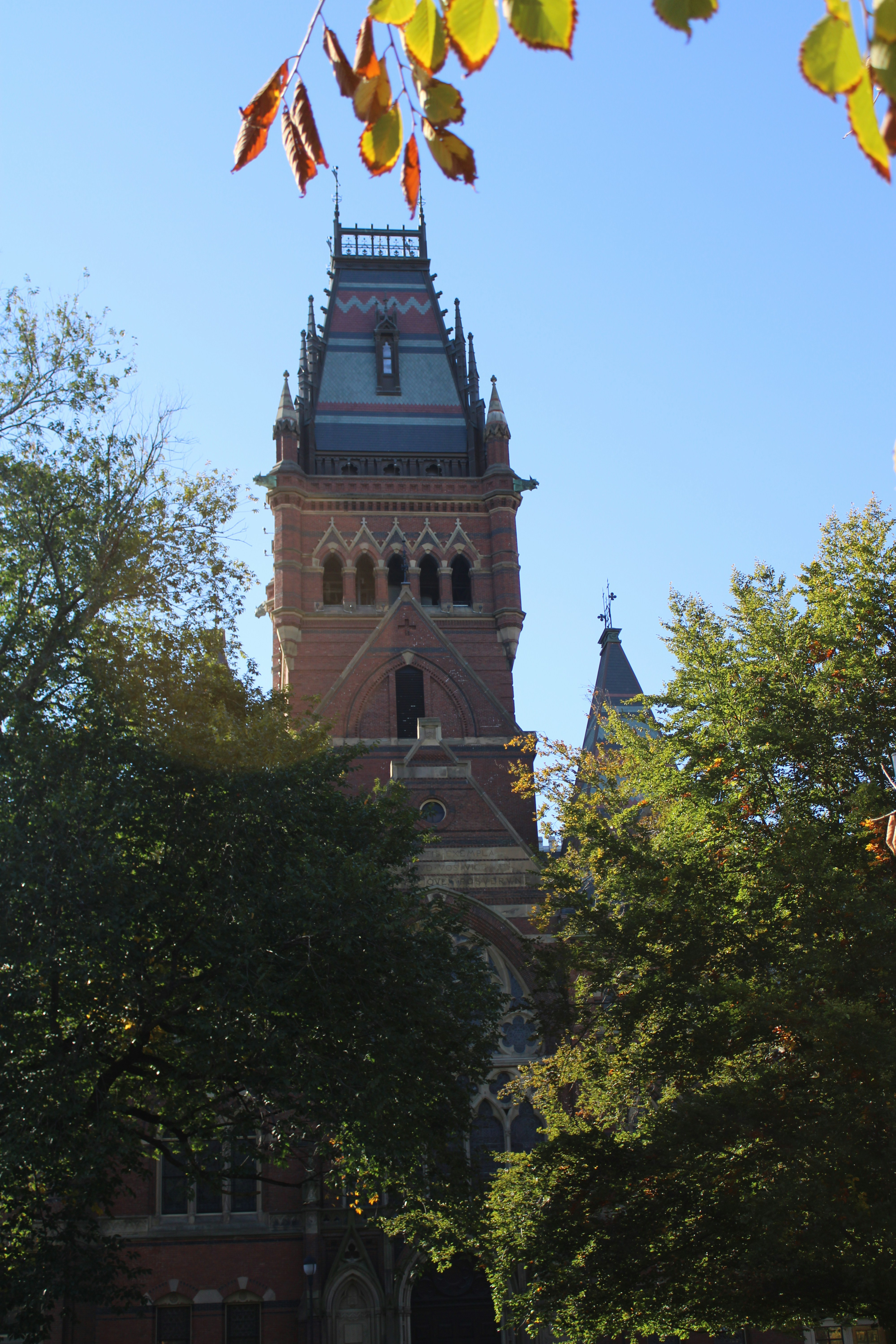 Photo by seandoherty886