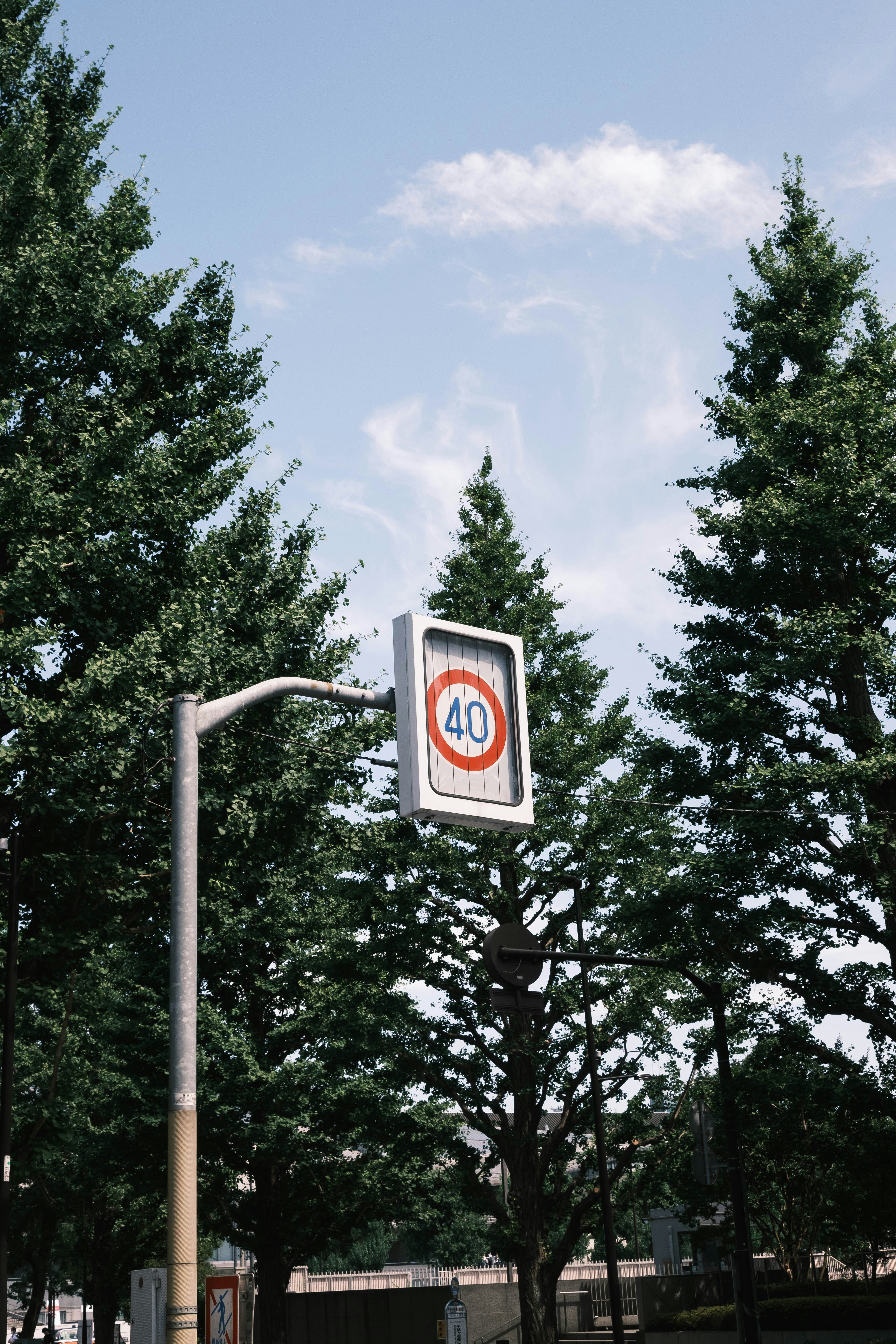 a street sign on a pole with trees in the background