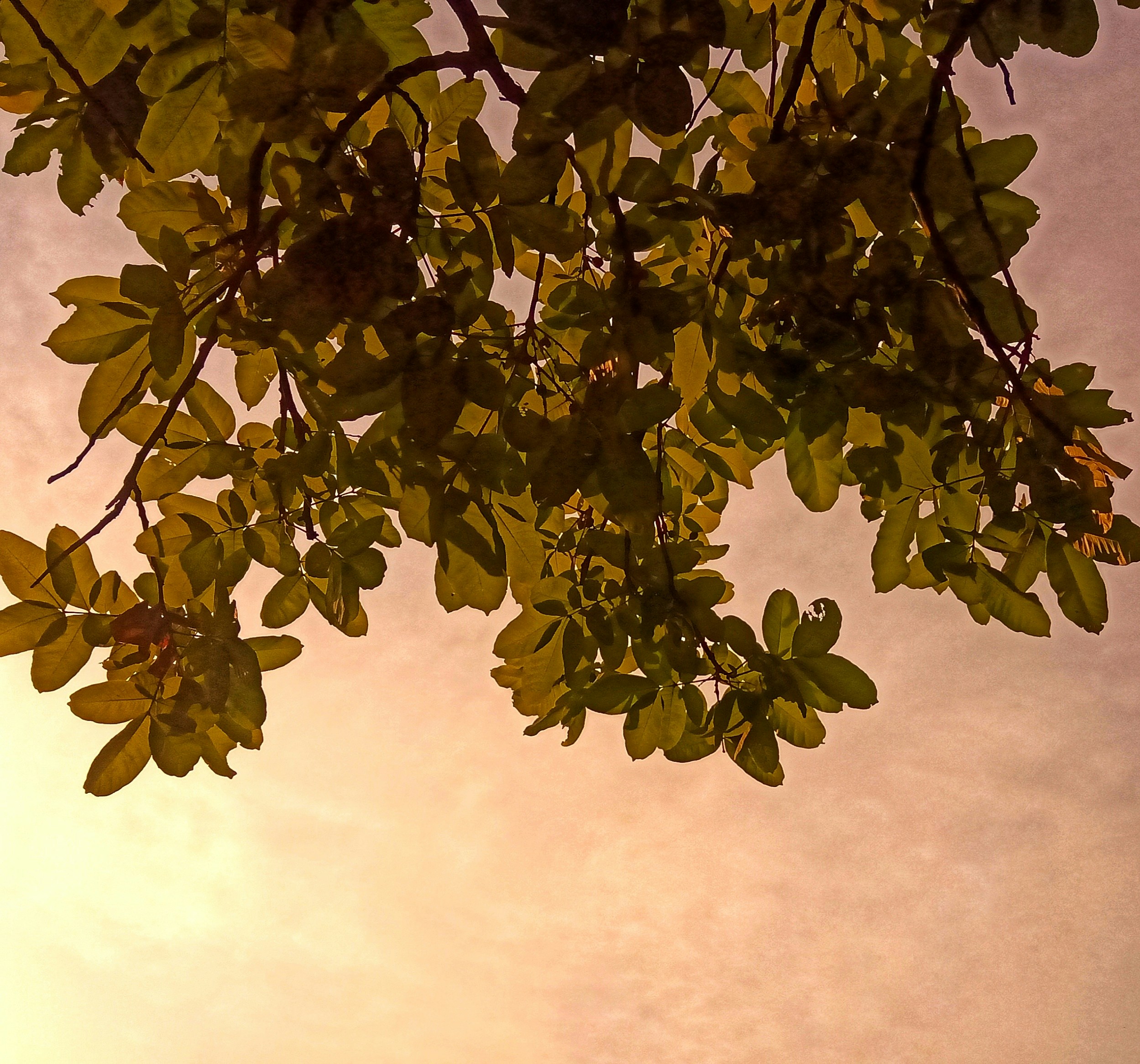 Photo by yashasviyadav