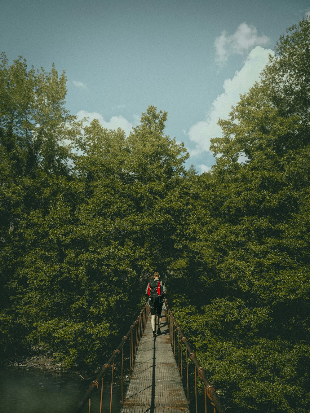 two people walking across a bridge over a river