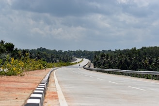 an empty road with trees and bushes on both sides