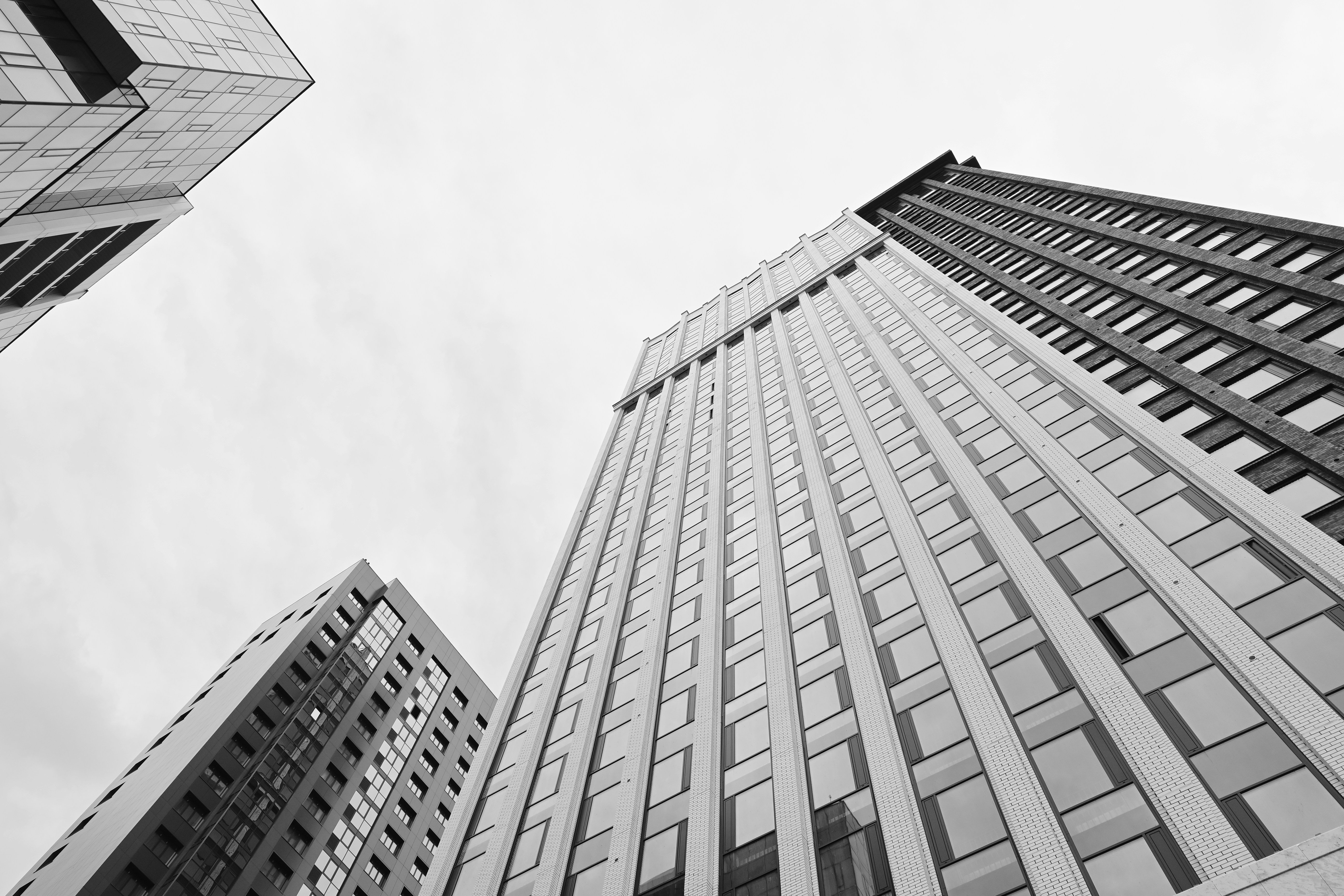 Photo by romanilyuhin