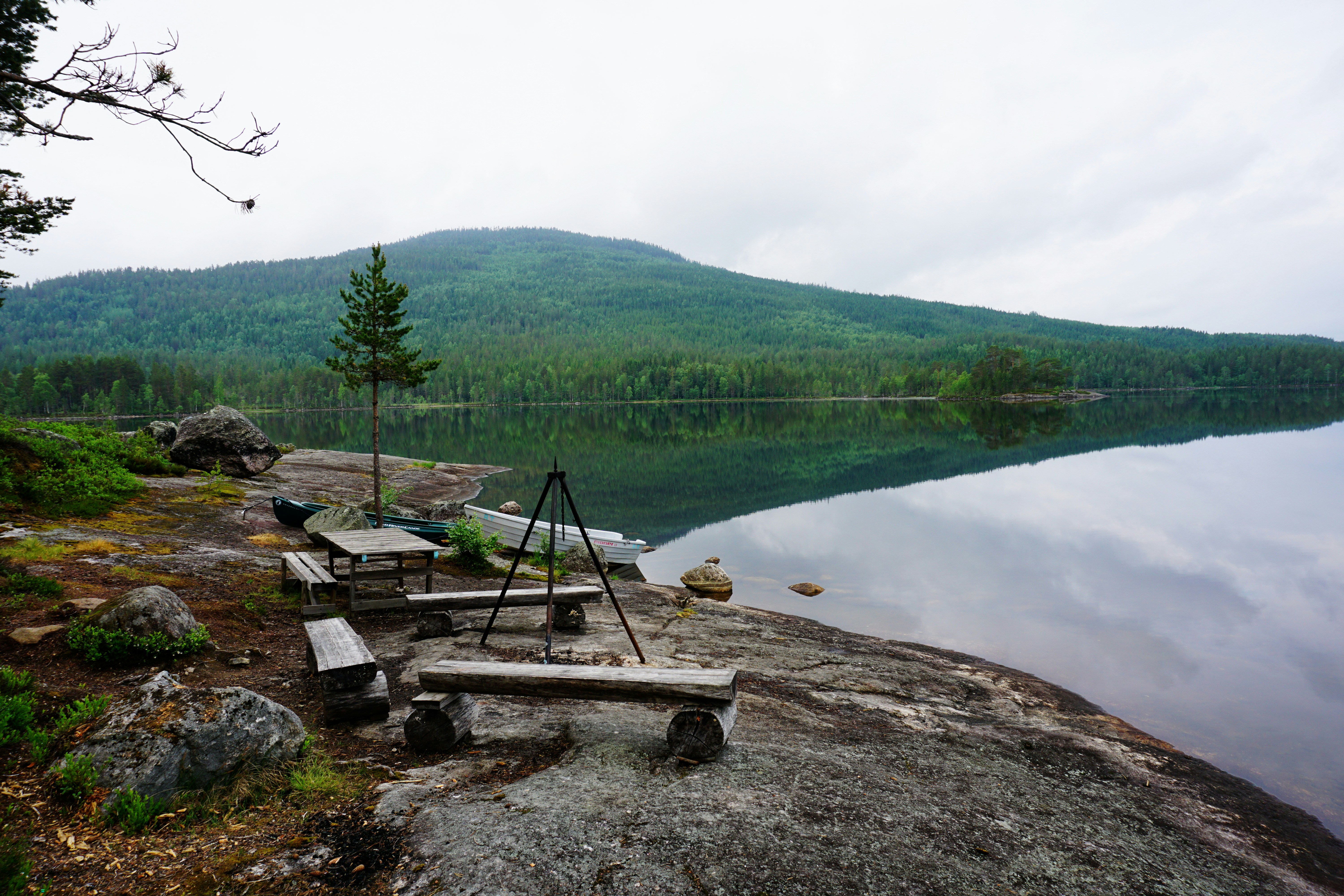 a bench sitting on the shore of a lake