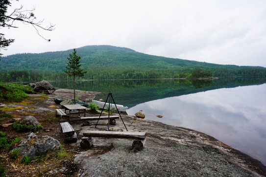 A serene lakeside scene with a calm, reflective body of water set against a backdrop of lush green forested hills. There are wooden benches and a fire pit on rocky terrain near the lake, with a single small tree growing nearby.