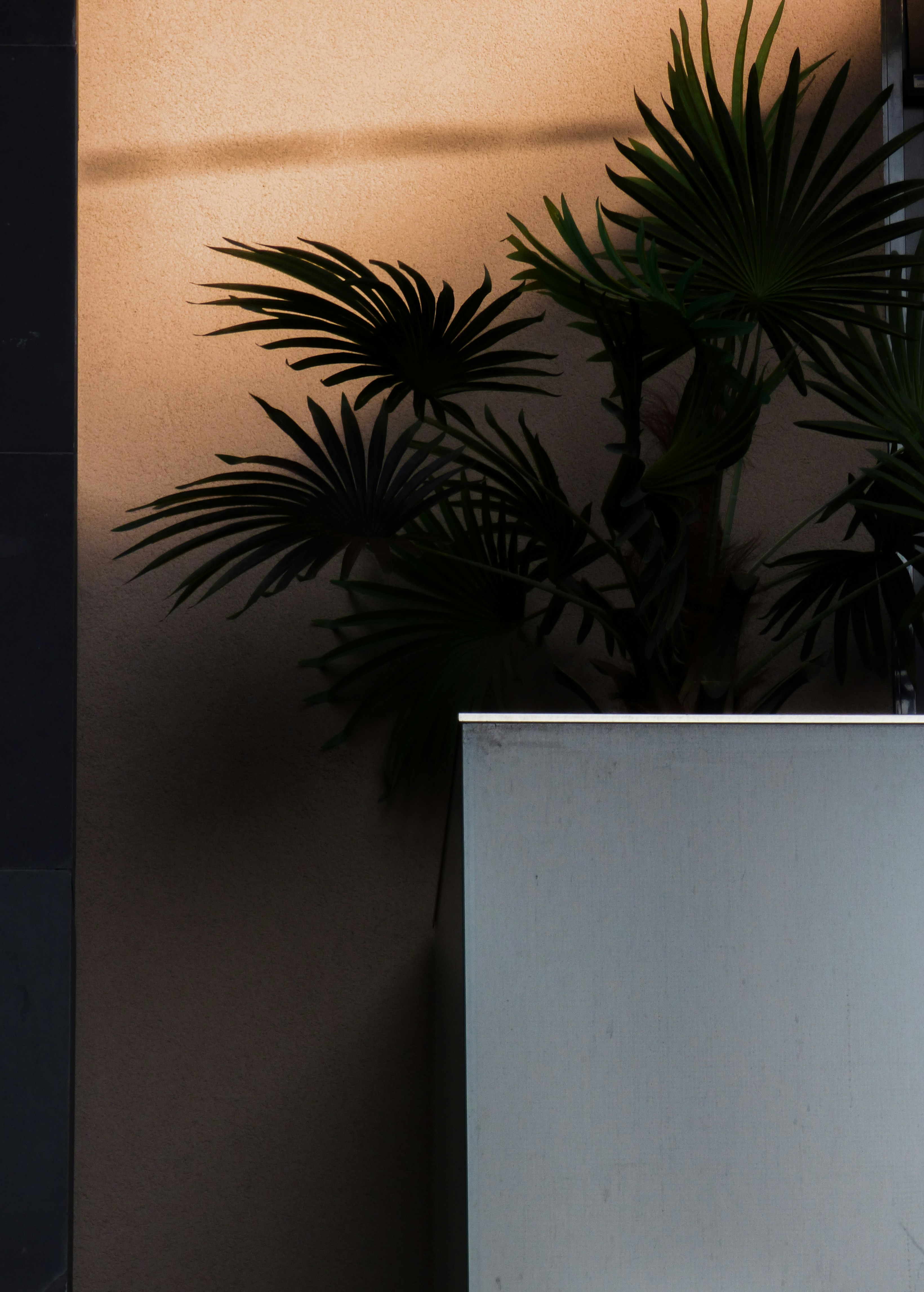 Photo by andrasdenes