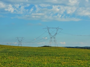A landscape featuring wide fields of green grass with tall power lines stretching across the scene. The sky is bright and filled with fluffy clouds under a light blue gradient.