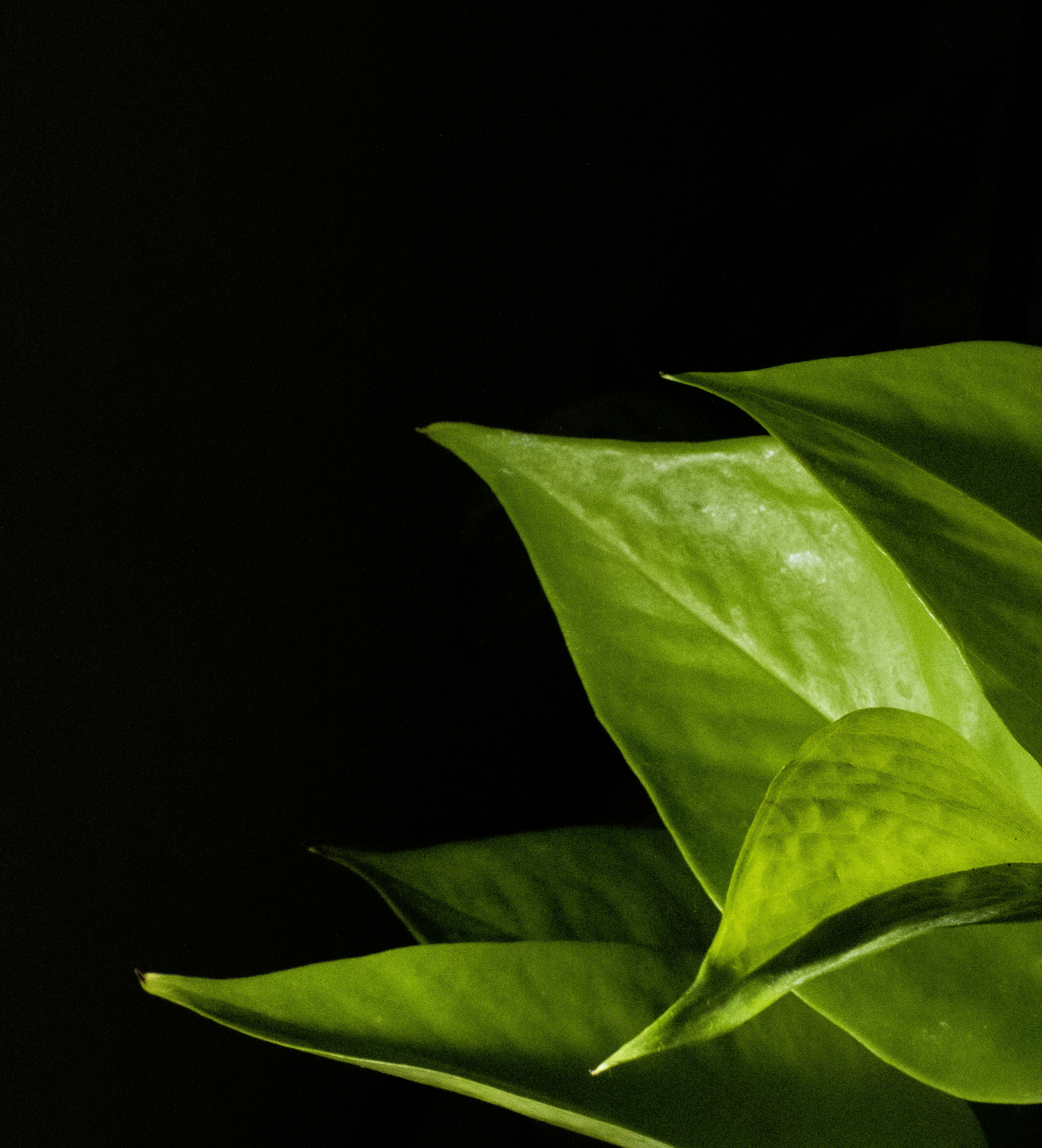 Photo by andrasdenes