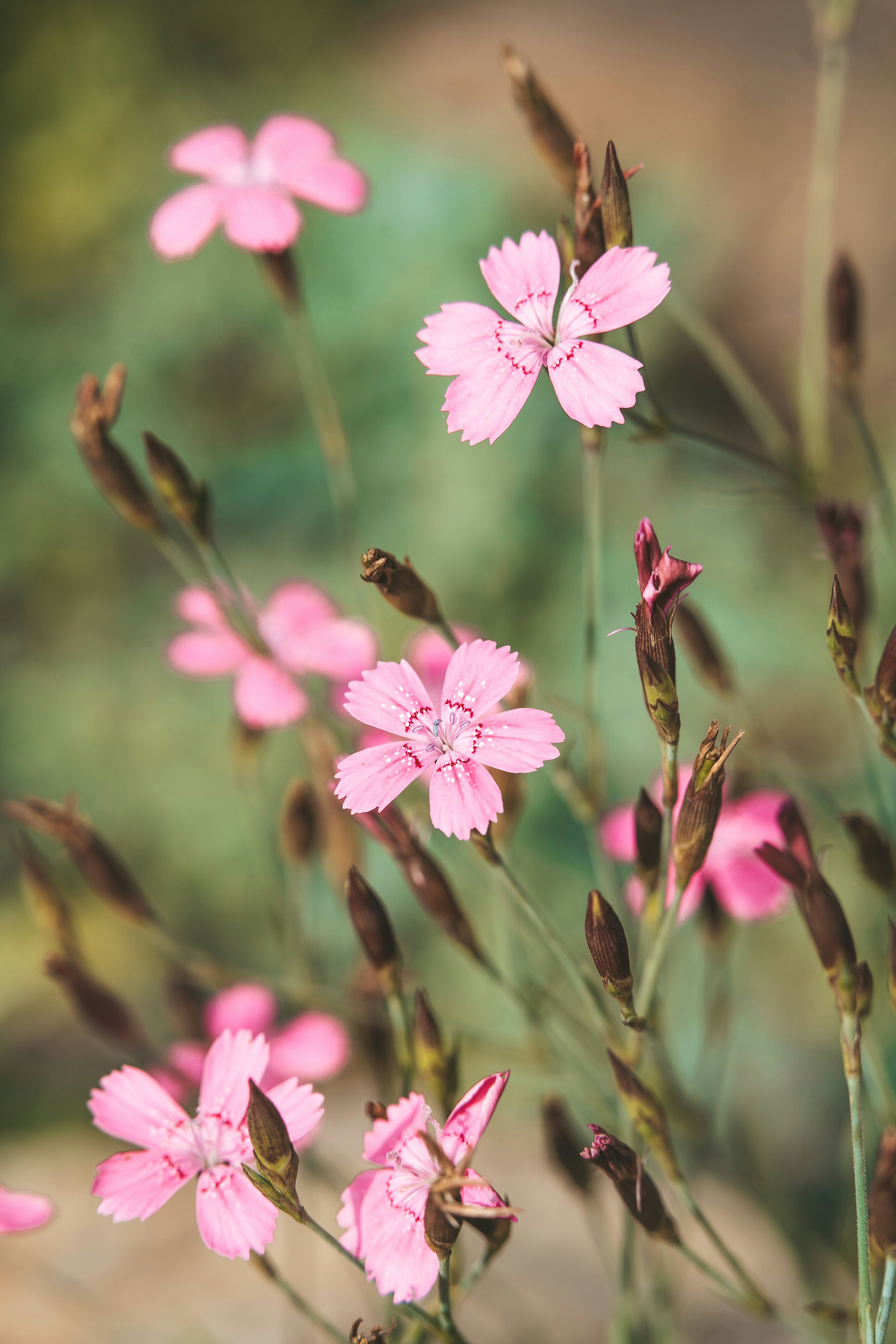 Photo by anamnesis33