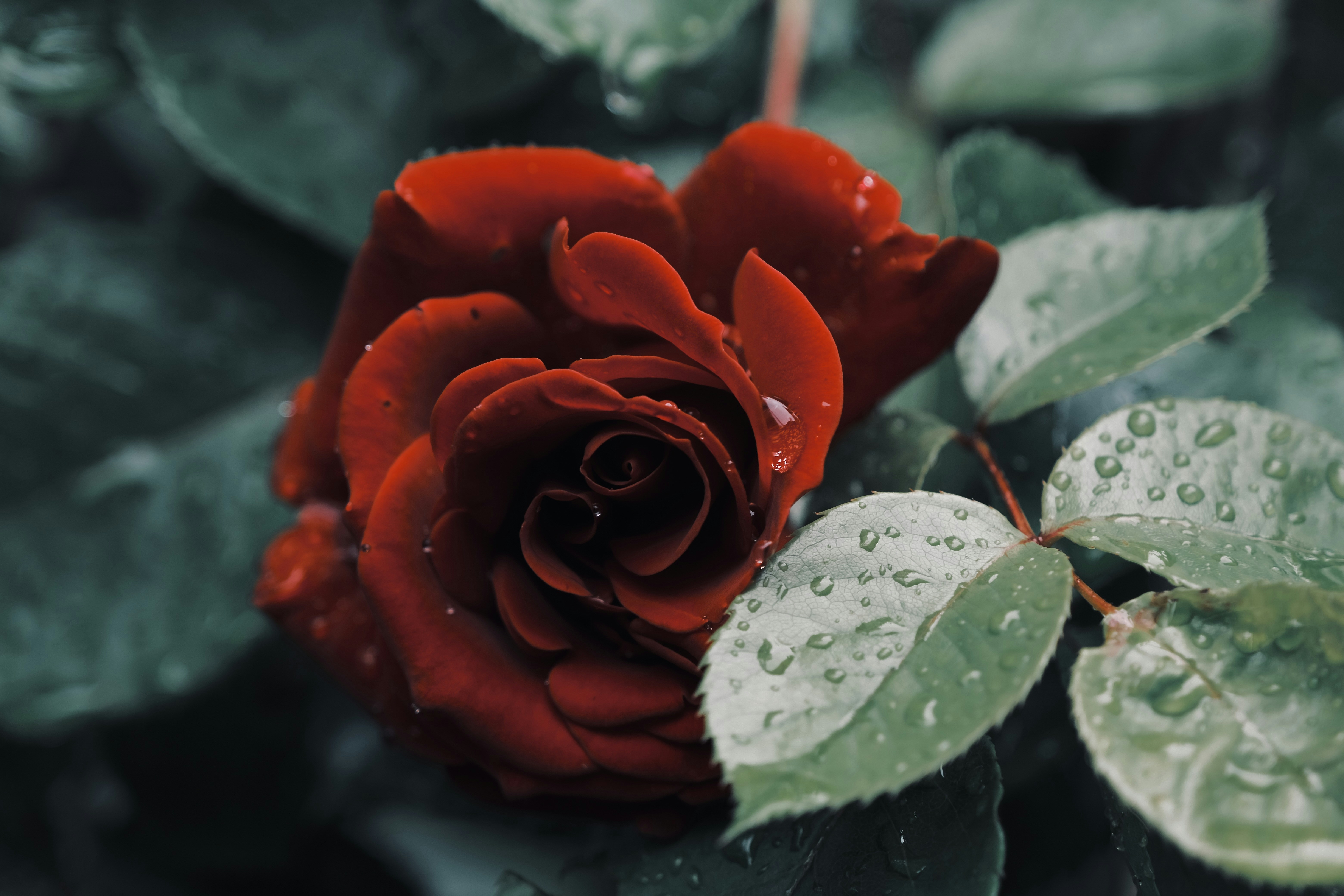 Photo by mkrawczynski