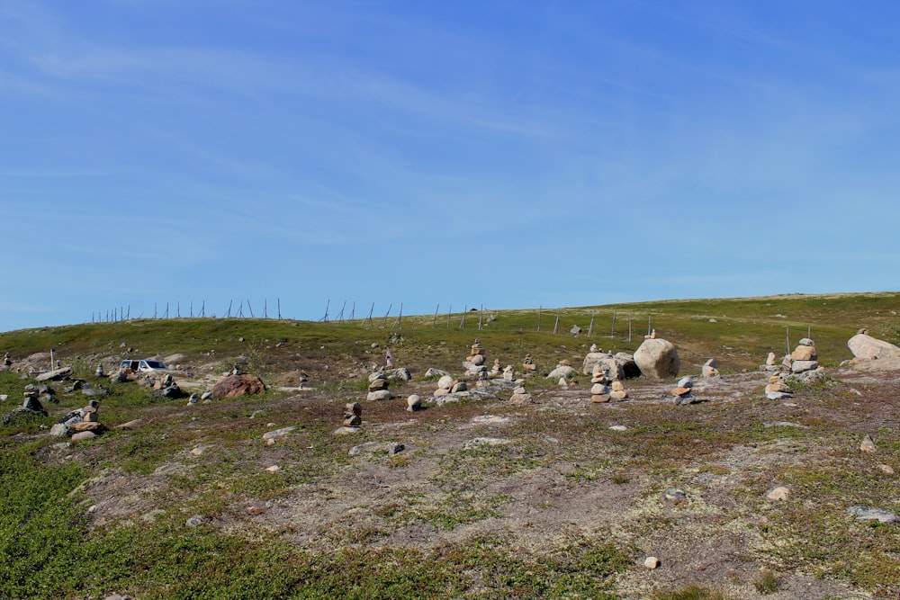 a group of rocks sitting on top of a grass covered hillside