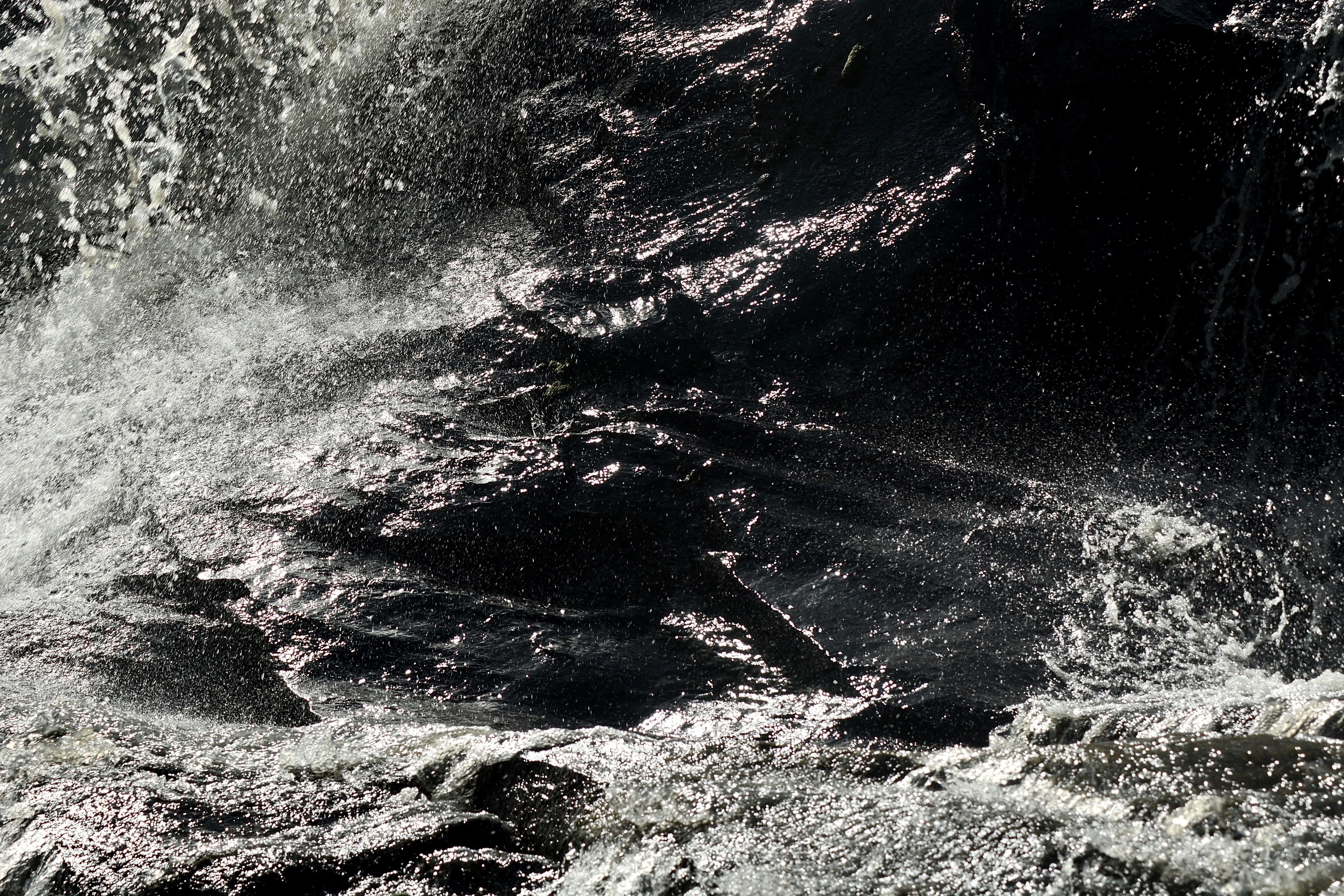 Photo by iurialbuquerque