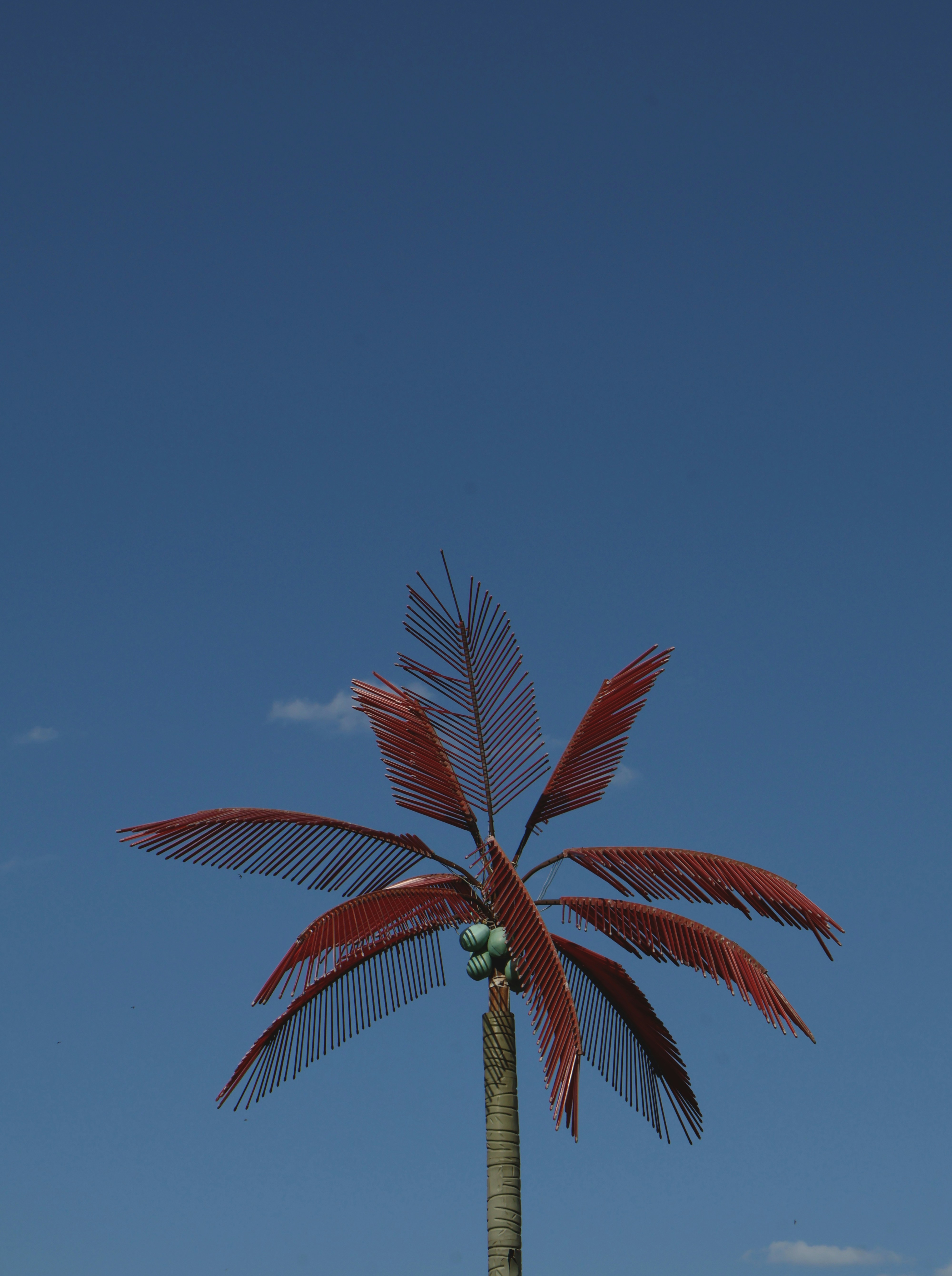 eine palme mit blauem himmel im hintergrund