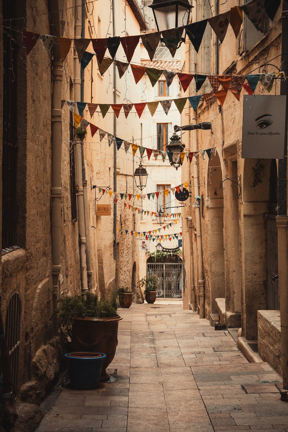 a narrow alley way with flags and potted plants