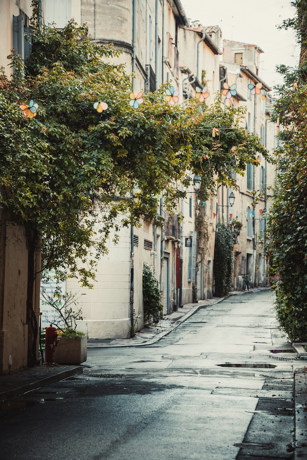 an empty street with a bunch of trees on the side of it