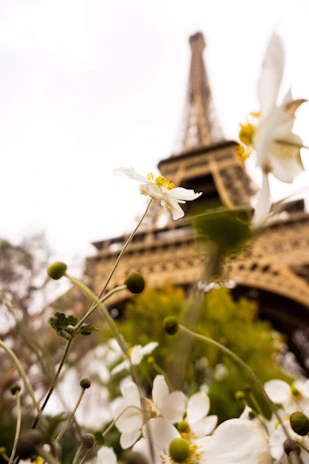 A scenic view of the Eiffel Tower framed by blooming spring flowers in Paris, Europe.