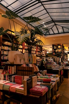 A cozy coffee shop interior with soft lighting, comfortable seating, and shelves lined with books and plants.