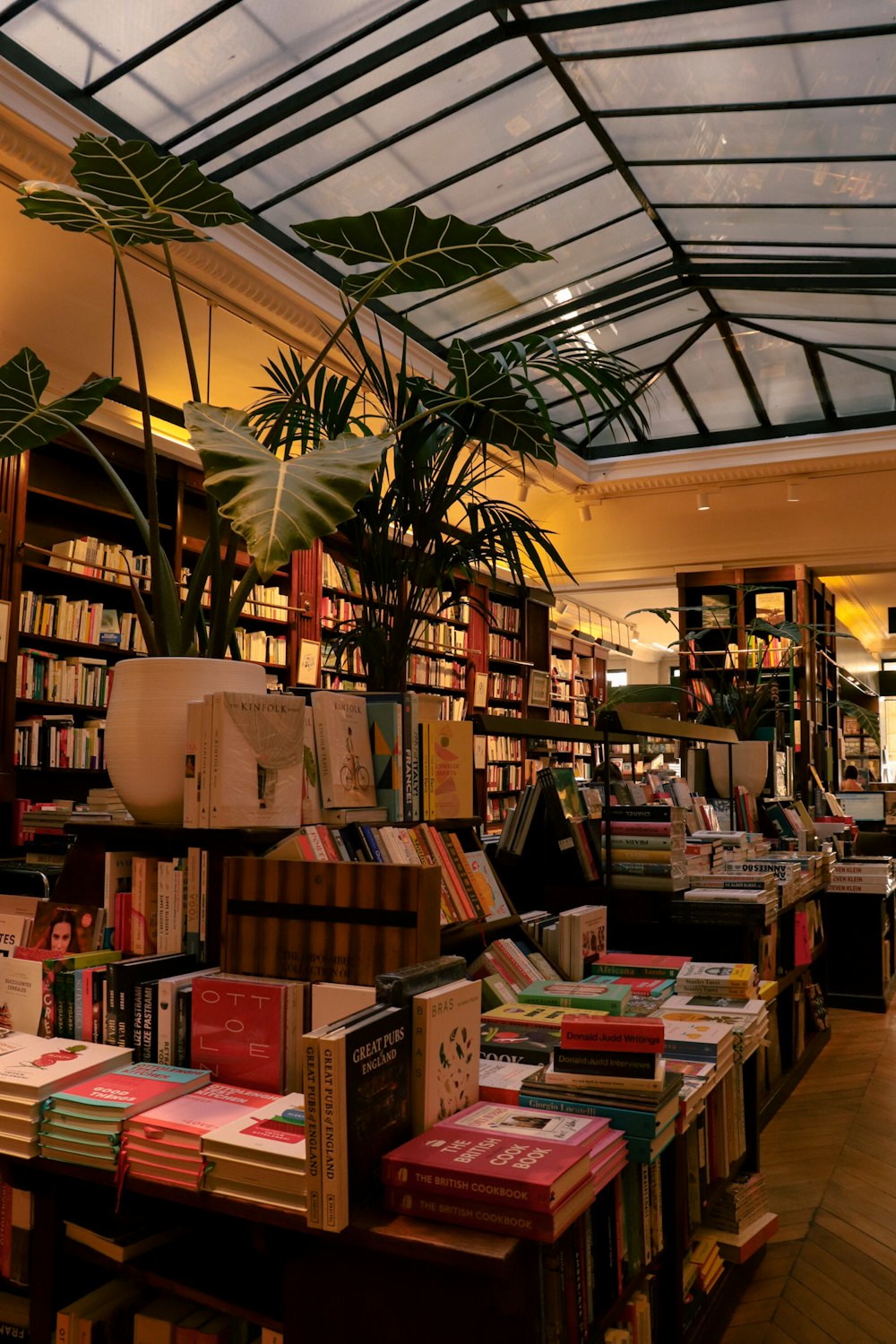 uma sala cheia de livros e plantas