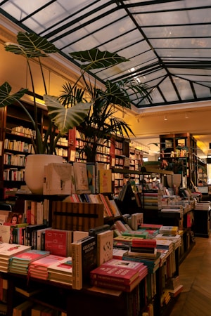 A cozy bookstore interior with large leafy plants, wooden bookshelves filled with an array of books, and a glass ceiling allowing natural light to illuminate the space. Warm lighting casts a gentle glow, enhancing the inviting atmosphere.