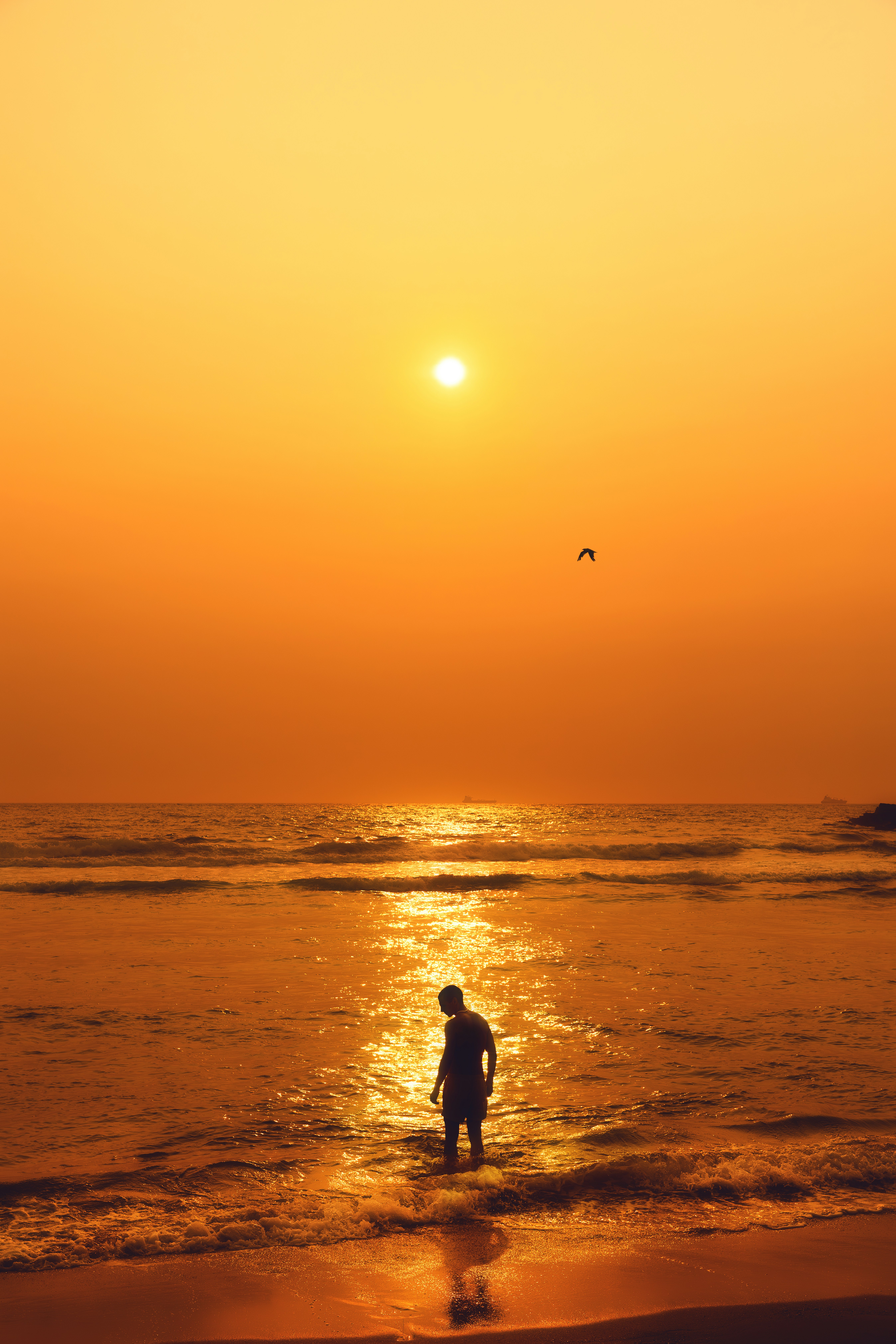 Photo by joshuaearle