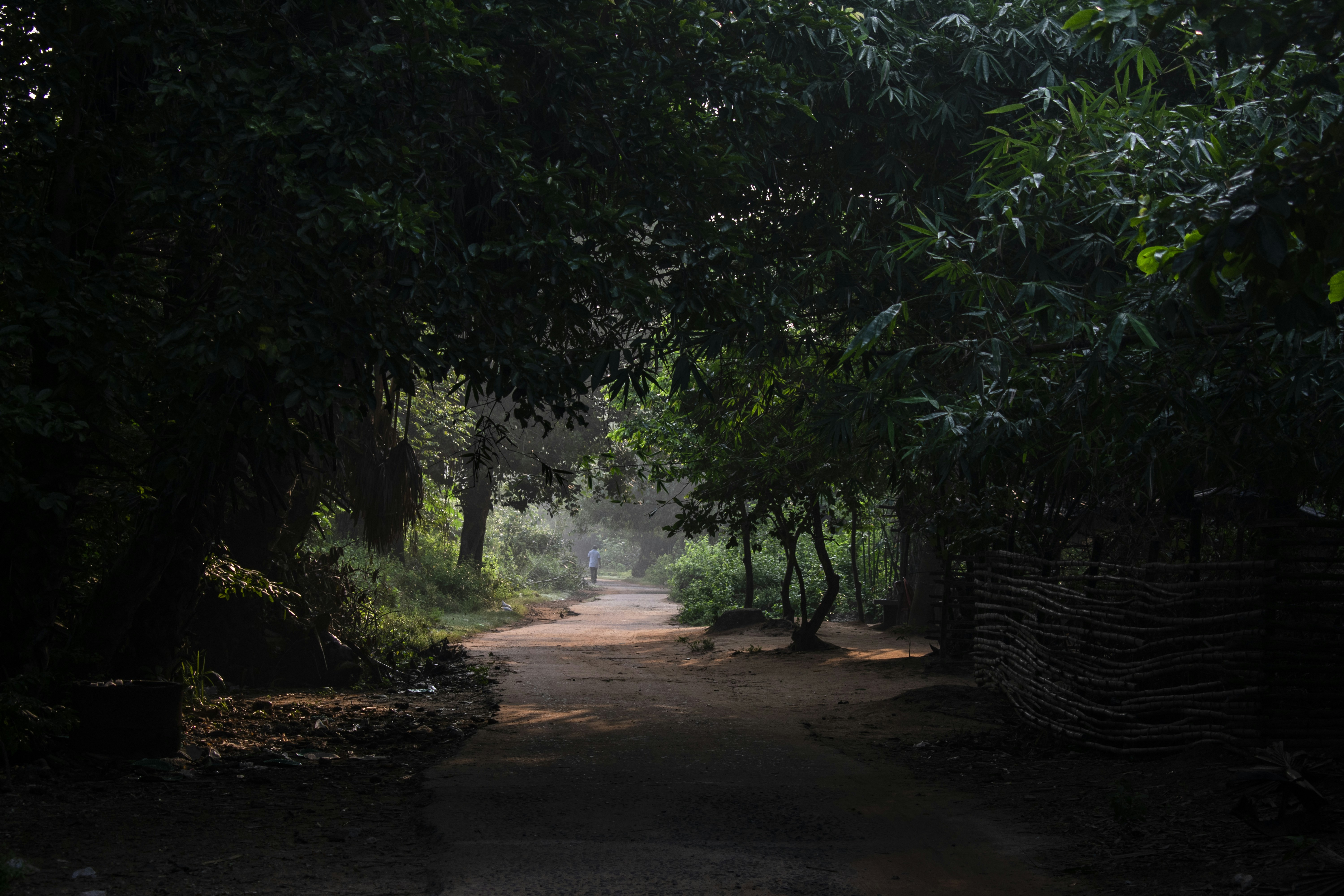 Photo by shoummosengupta