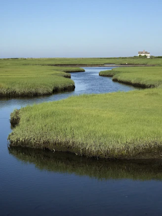 a body of water surrounded by green grass
