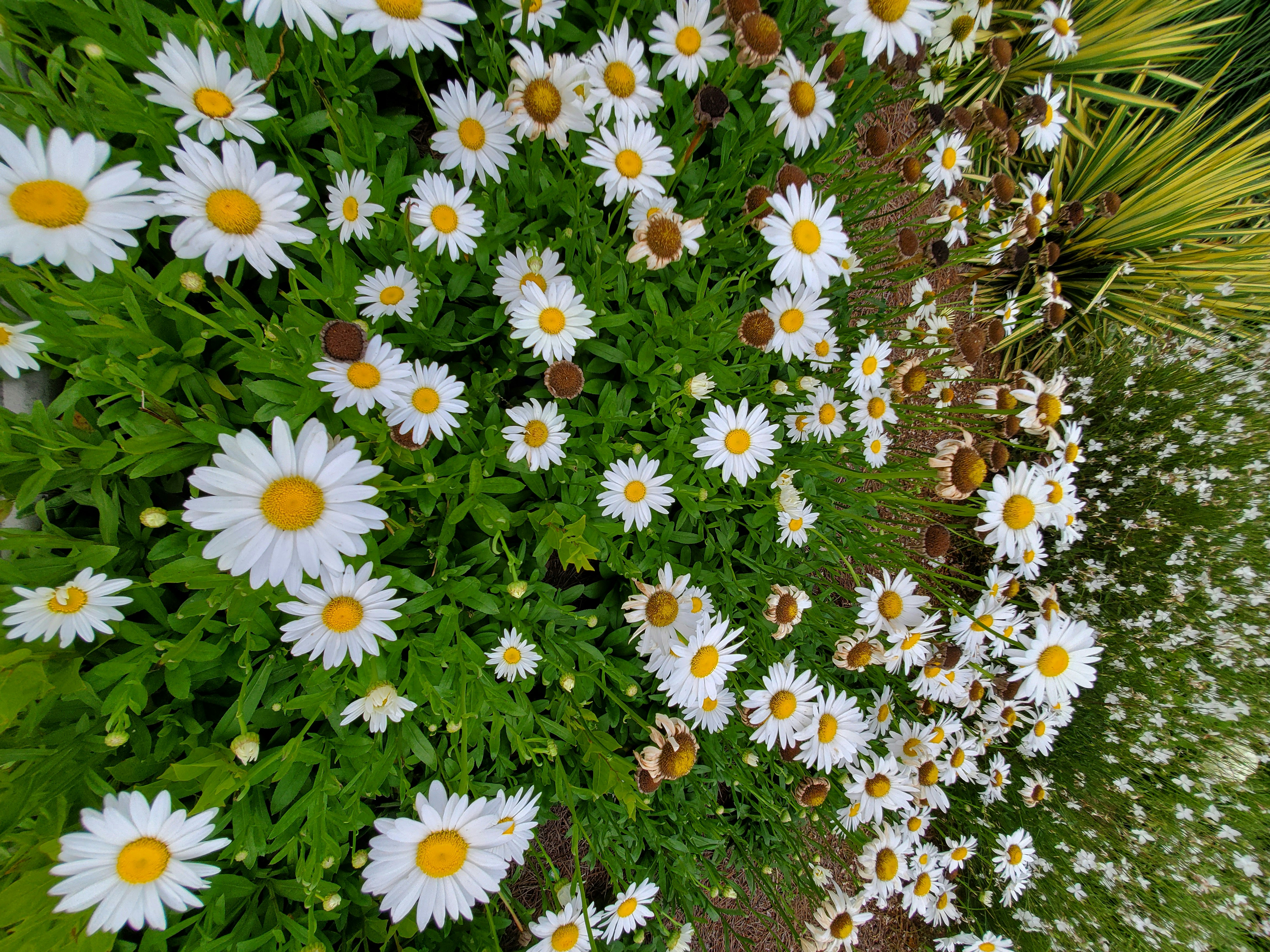 Photo by karolinabobek