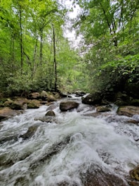 A vibrant streamer engaging with viewers through a lively chat overlay.