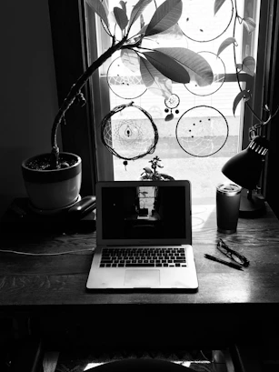 A serene workspace with herbal plants, crystals, and a laptop showing an online course.