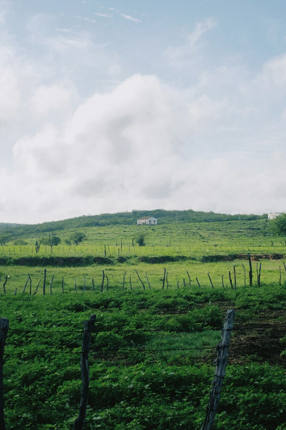 a field with a fence and a house in the distance