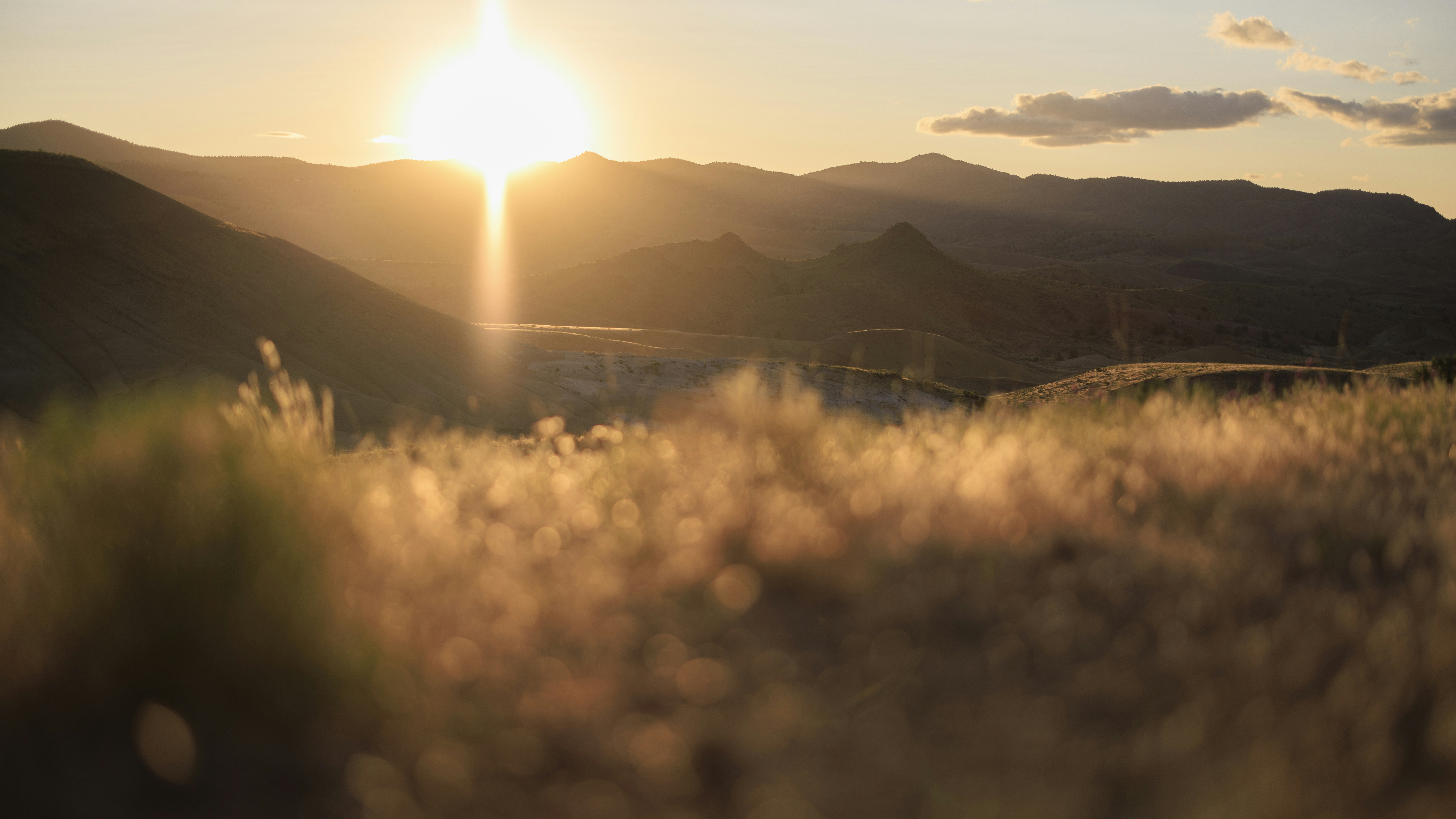 Photo by wanderingcrow