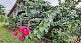 Modern barn with natural wood and green accents blending into the landscape.