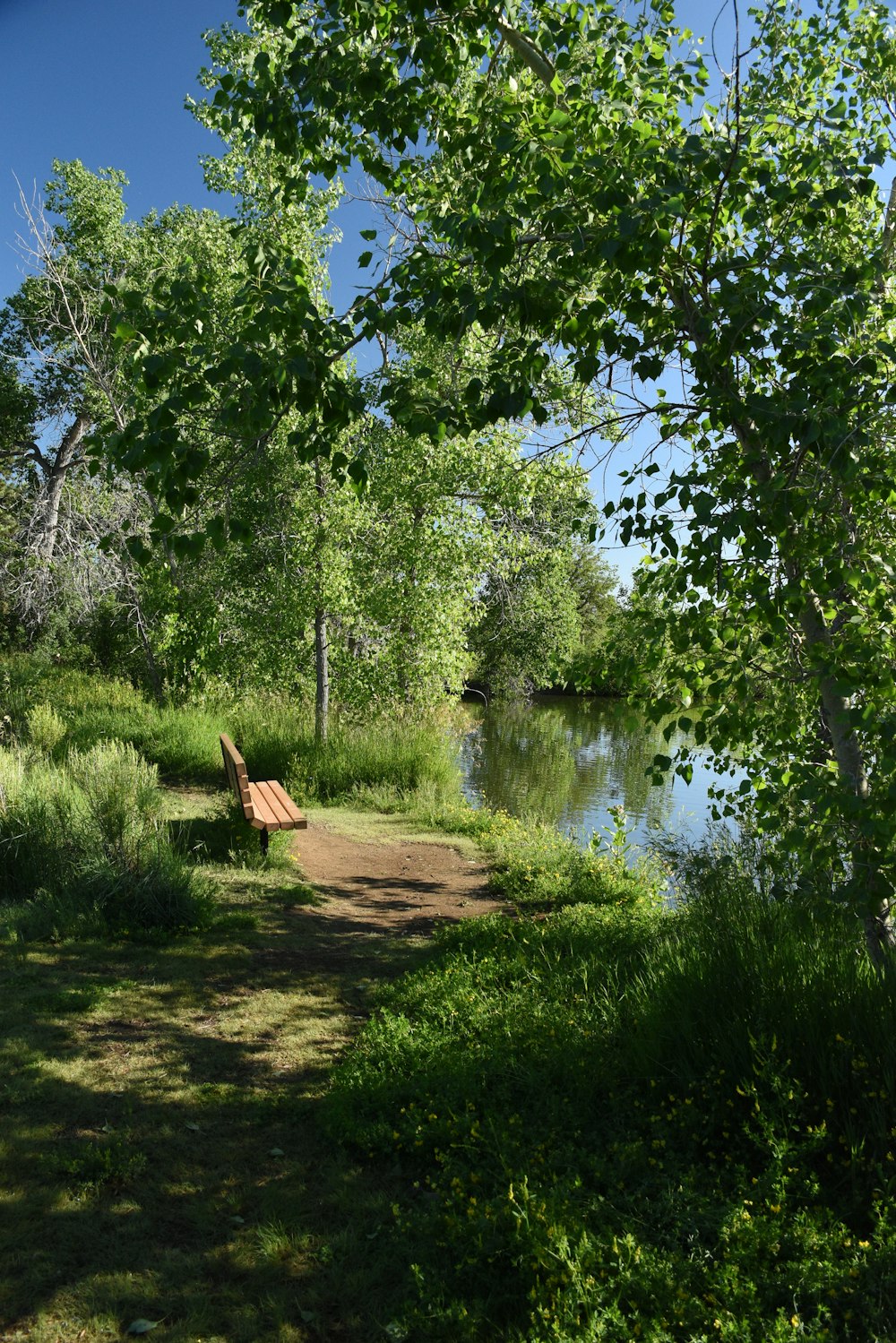 a bench sitting on the side of a dirt road next to a river