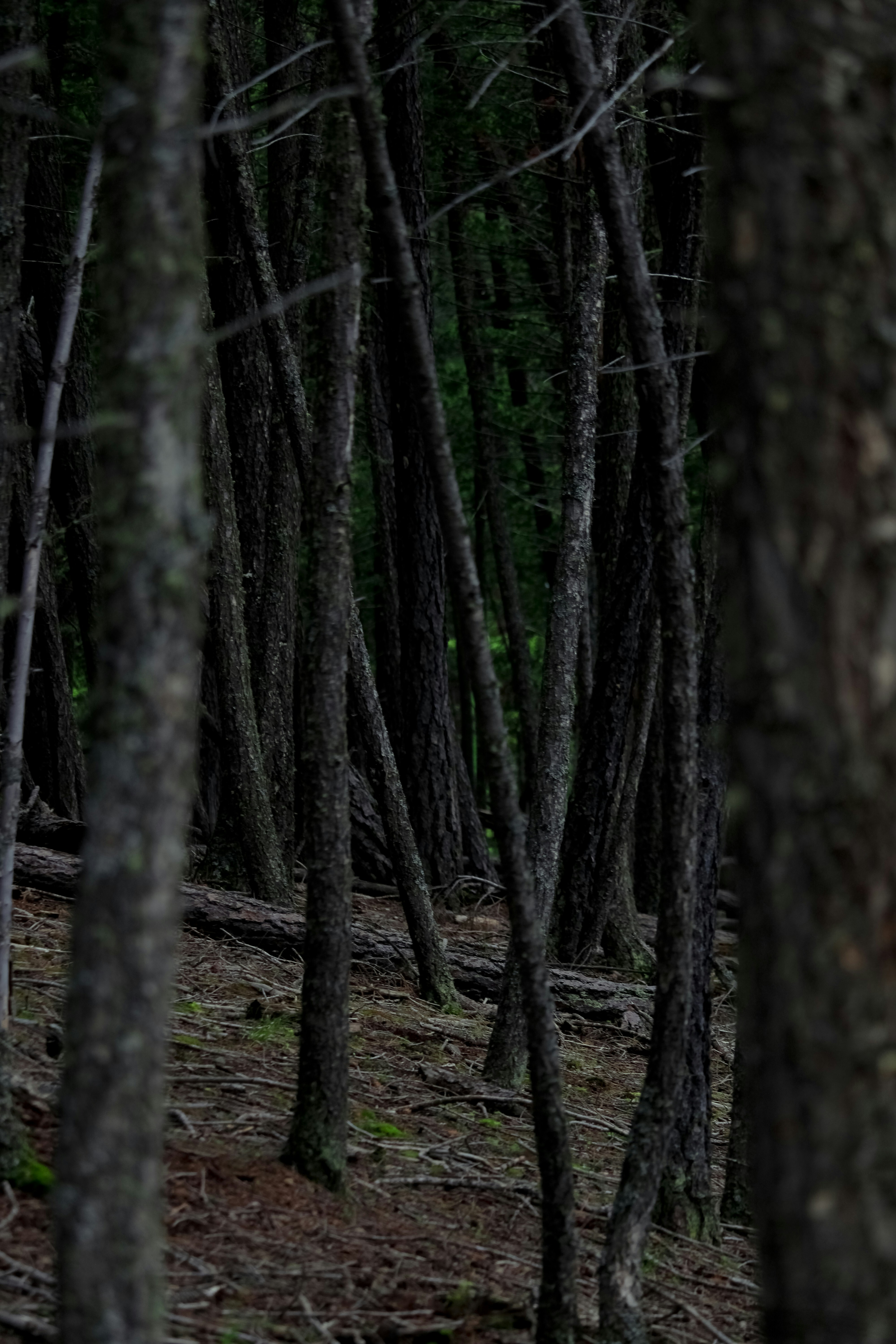 Photo by ingenious0range