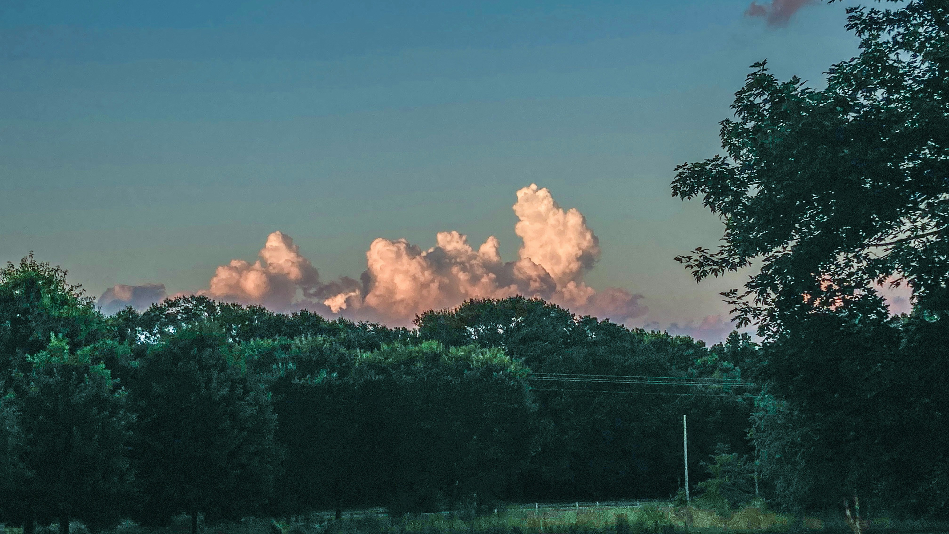 Photo by hensanders
