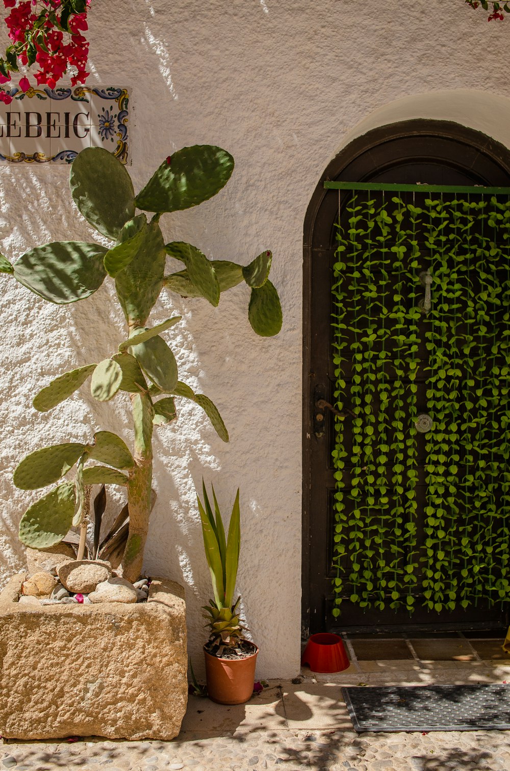 a potted plant sitting next to a doorway