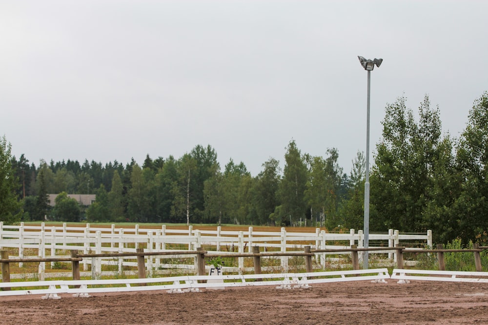 a horse is standing in a fenced in area
