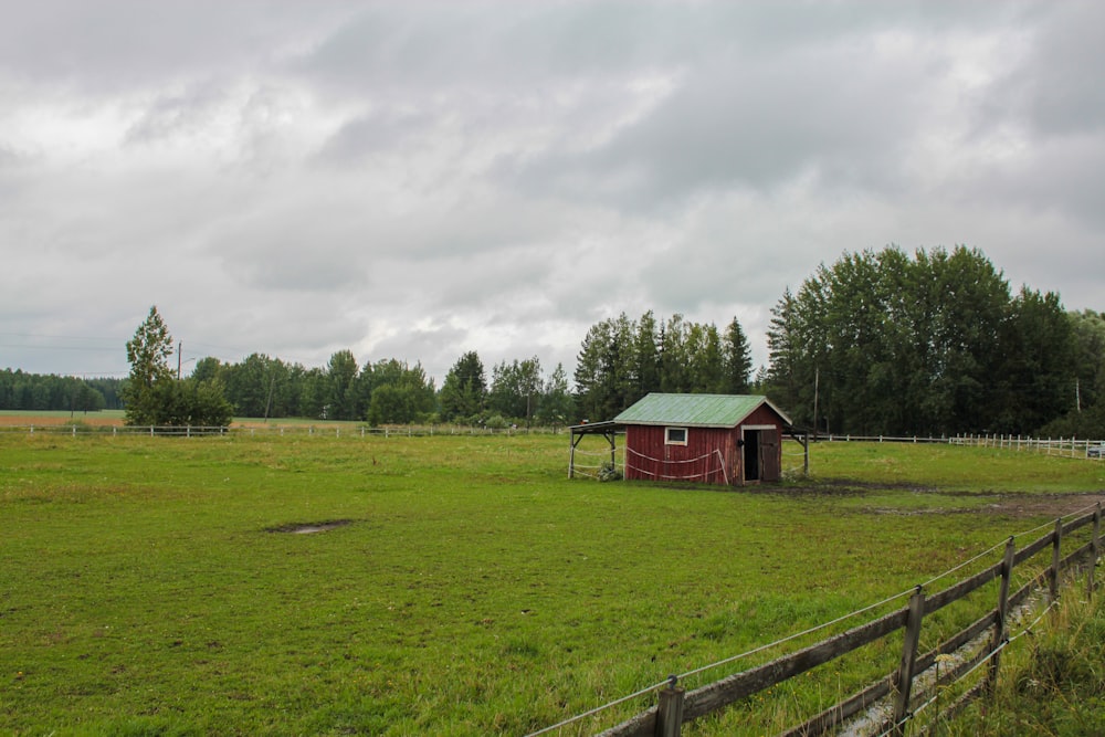 a small red shed in a grassy field