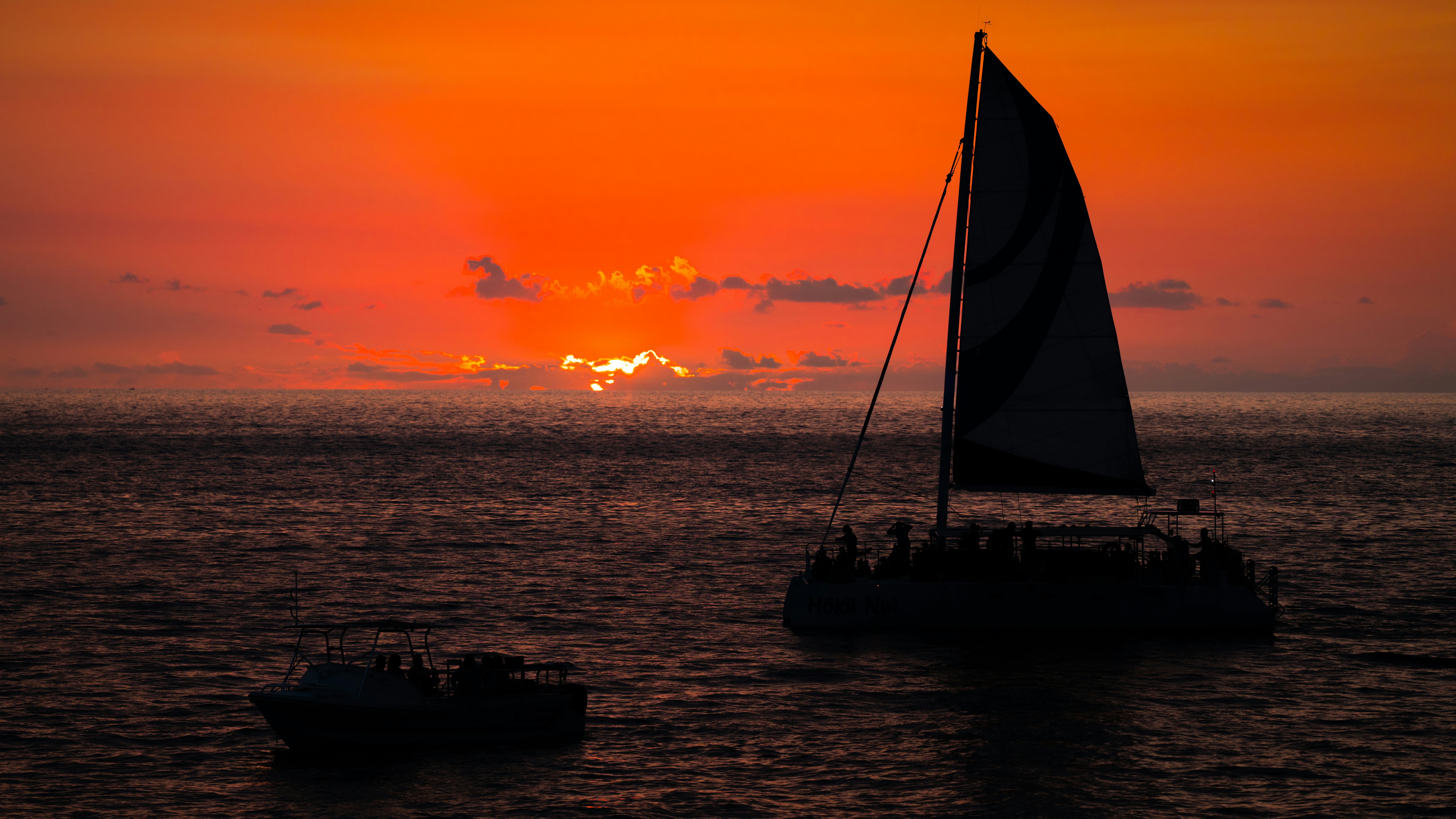 Photo by wildwoodscreative