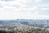A panoramic view of a thriving commercial district.