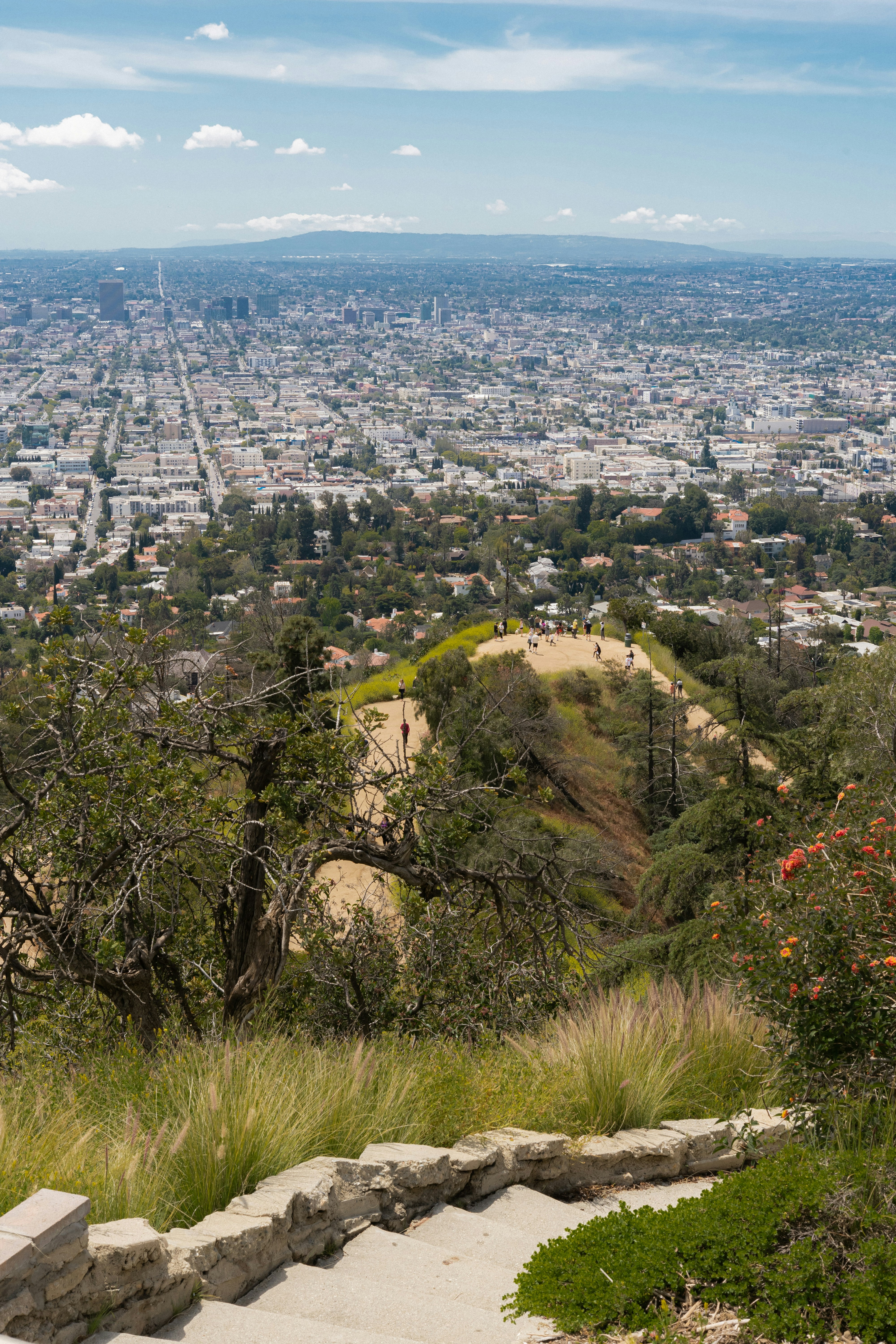 a view of a city from the top of a hill
