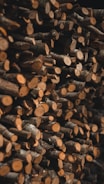 A large stack of chopped wood logs arranged tightly on top of each other, with visible cross-sections and bark textures.