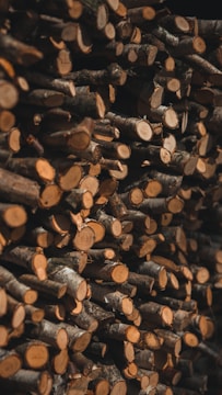 A large stack of chopped wood logs arranged tightly on top of each other, with visible cross-sections and bark textures.
