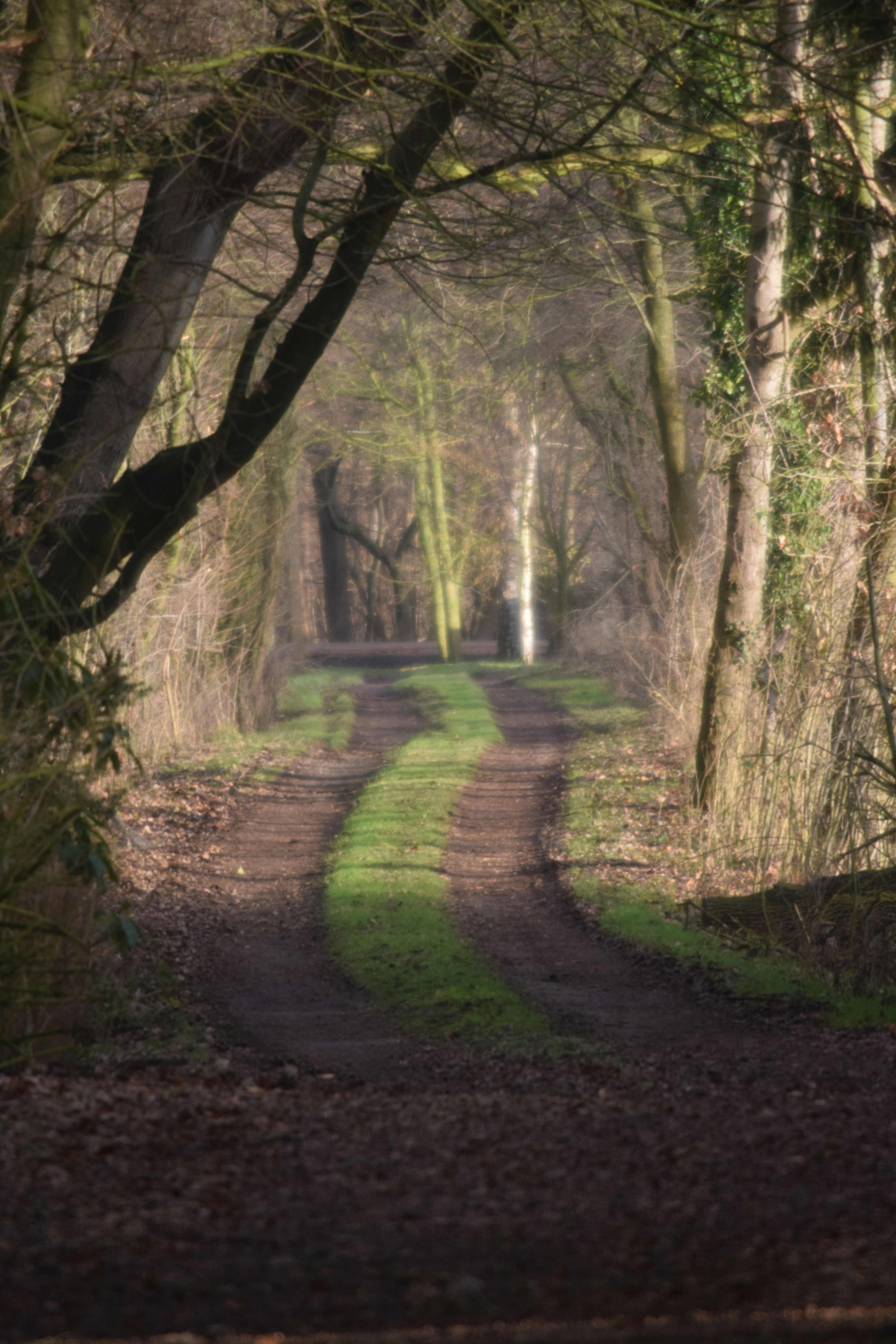 Photo by anna_flowers