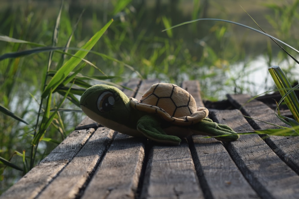 a small turtle sitting on top of a wooden plank