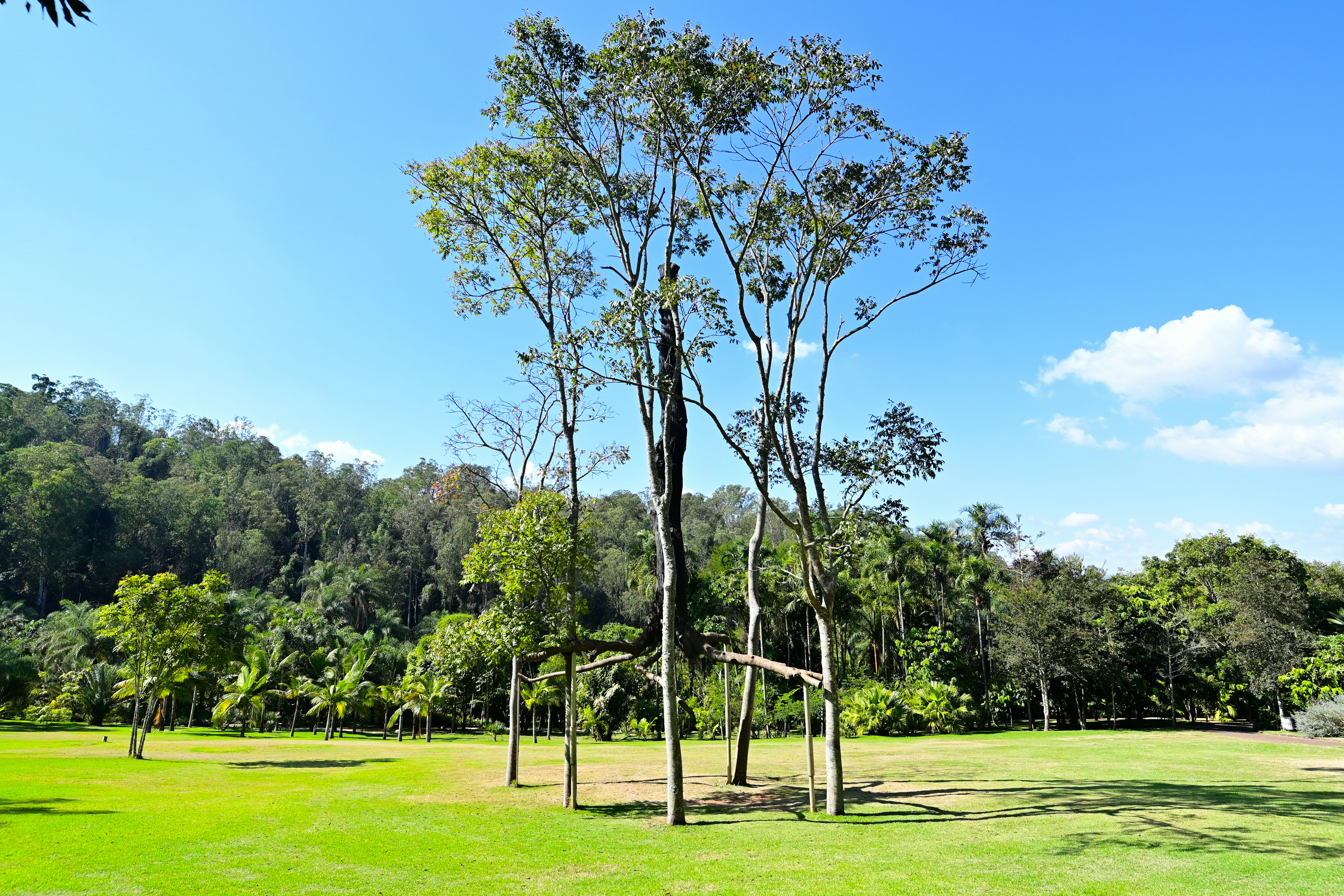 Liberty Community Park